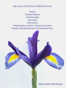 major-causes-risk-factors-of-adhd-does include genetic factors, premature delivery, low birth weight, Brain injury, Social Aspects, Prenatal tobacco, alcohol or substance abuse y mom, prenatal / early age exposue to environemtnal toxins